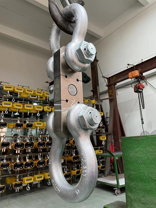 高密防水拉力計(jì)10T20T30T、船舶載重能力檢測(cè)儀器